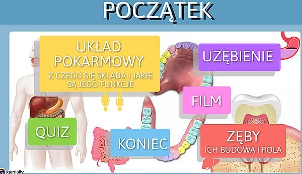 prezenyacjalekcja202113as